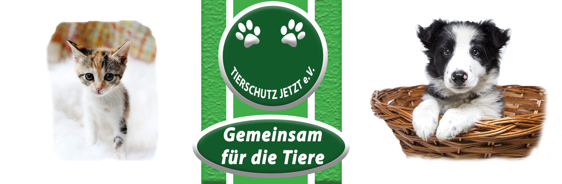 Willkommen!